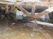 Structural, Water, and Termite Damage to House Framing and Foundation